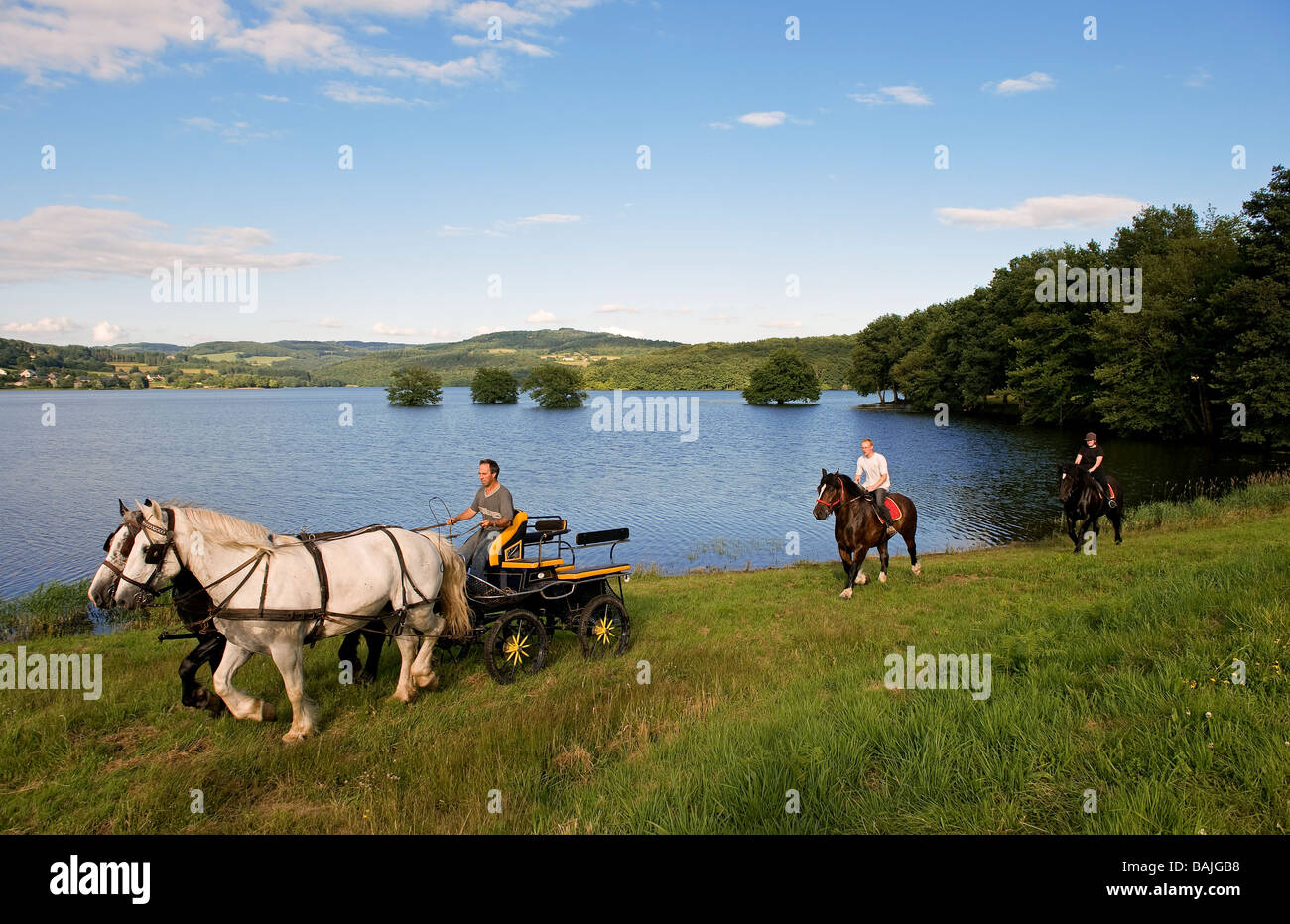 France, Nievre, lac Pannecière, Alain Perruchot Agriculteur et éleveur de chevaux dans le commandement de son couplage Banque D'Images