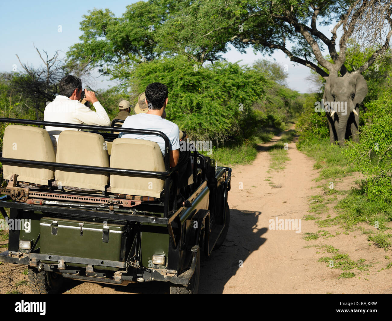Groupe de touristes en jeep, à la recherche de l'éléphant, un homme la photographie, vue arrière Banque D'Images