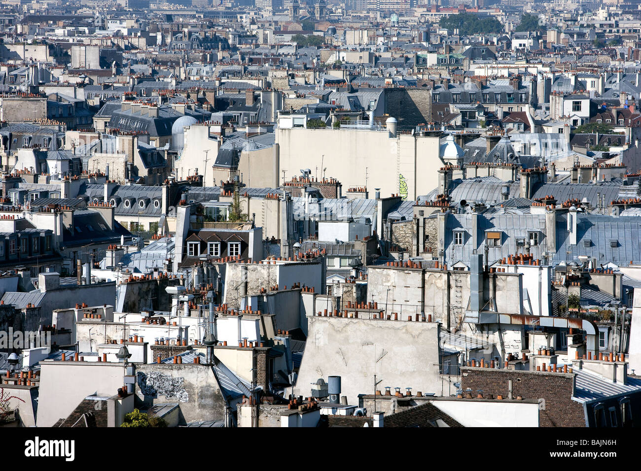 France, Paris, le panorama de Notre Dame de Paris cathedrale sur toits de Paris Banque D'Images
