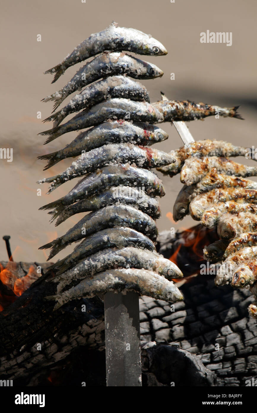 Sardines sur une broche au-dessus d'un feu de bois d'olive fayre typique des restaurants de plage en espagnol Banque D'Images