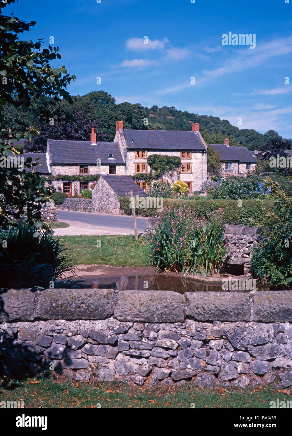 Cottages et étang du village, Parwich, parc national de Peak District, Derbyshire, Angleterre, RU Banque D'Images