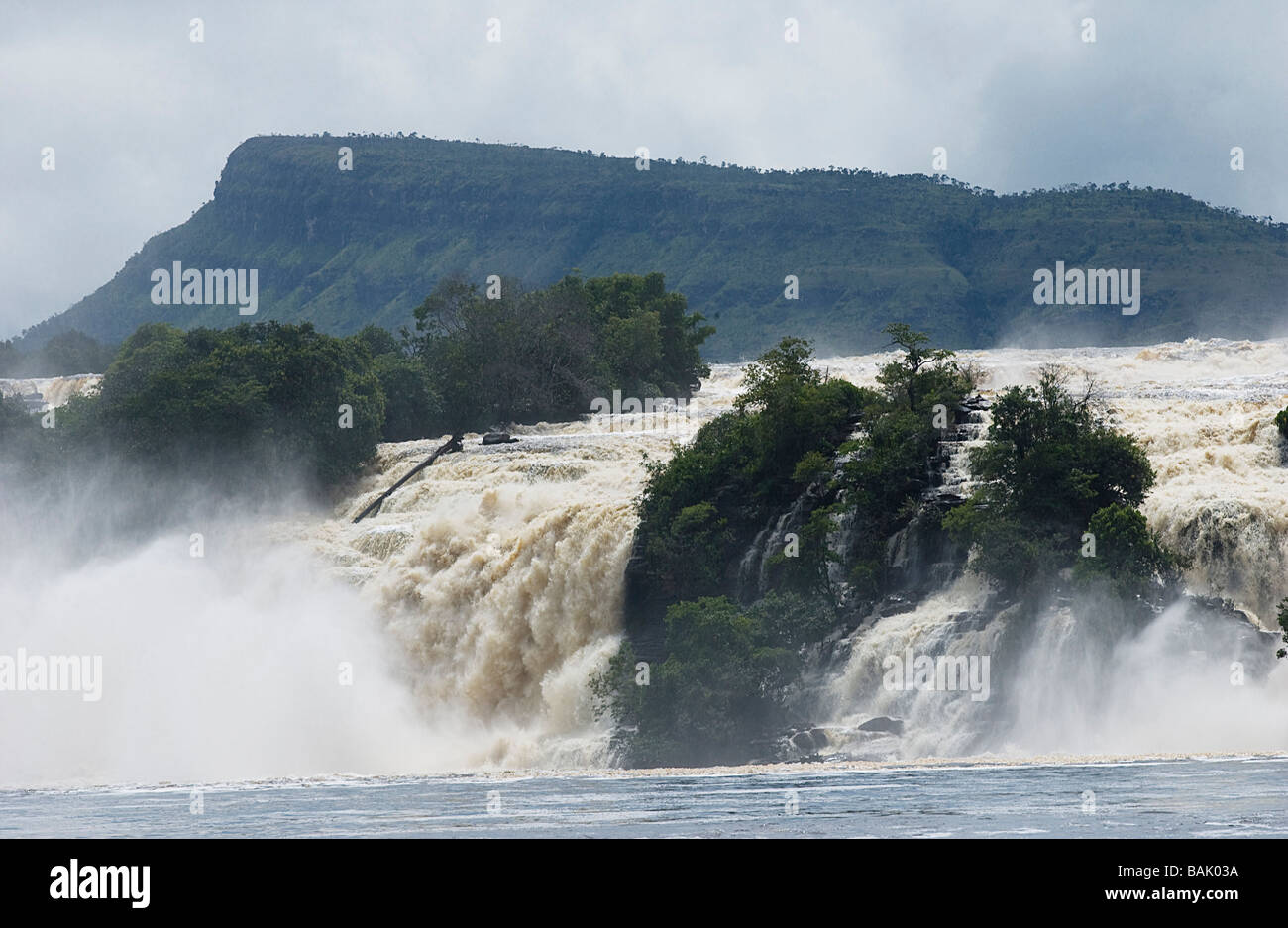 Le Venezuela, l'État de Bolivar, Gran Sabana, région Parc national Canaima, inscrite au Patrimoine Mondial de l'UNESCO, le paysage de la Banque D'Images