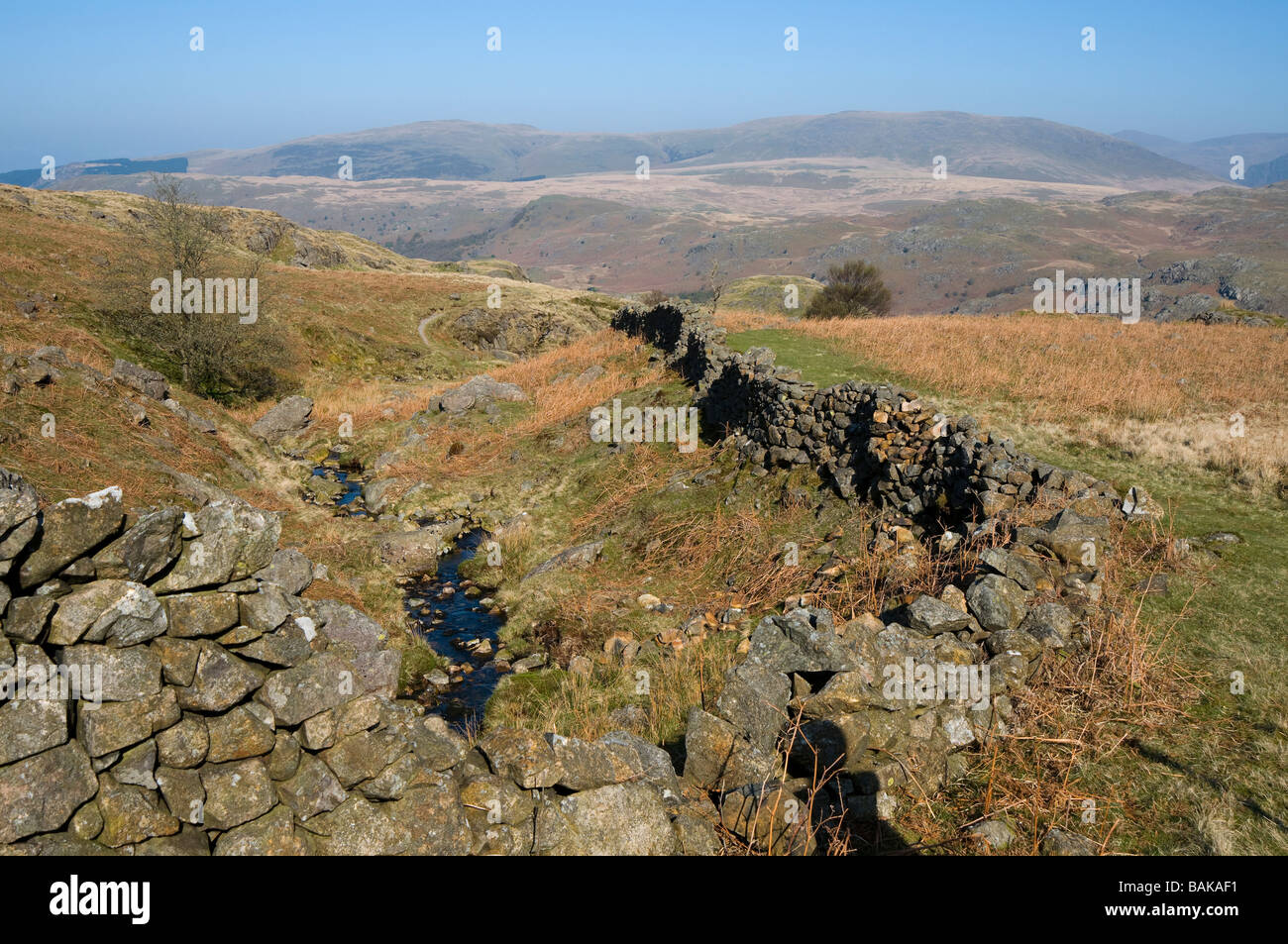 Mur en pierre sèche s'Ulpha Parc National de Lake District Cumbria England Banque D'Images