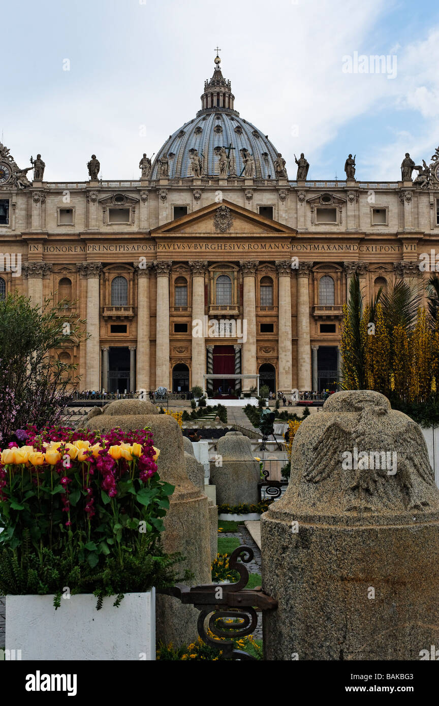 St Pierre de la Cité du Vatican avec fleur de pâques décorations dans la Piazza San Pietro Banque D'Images