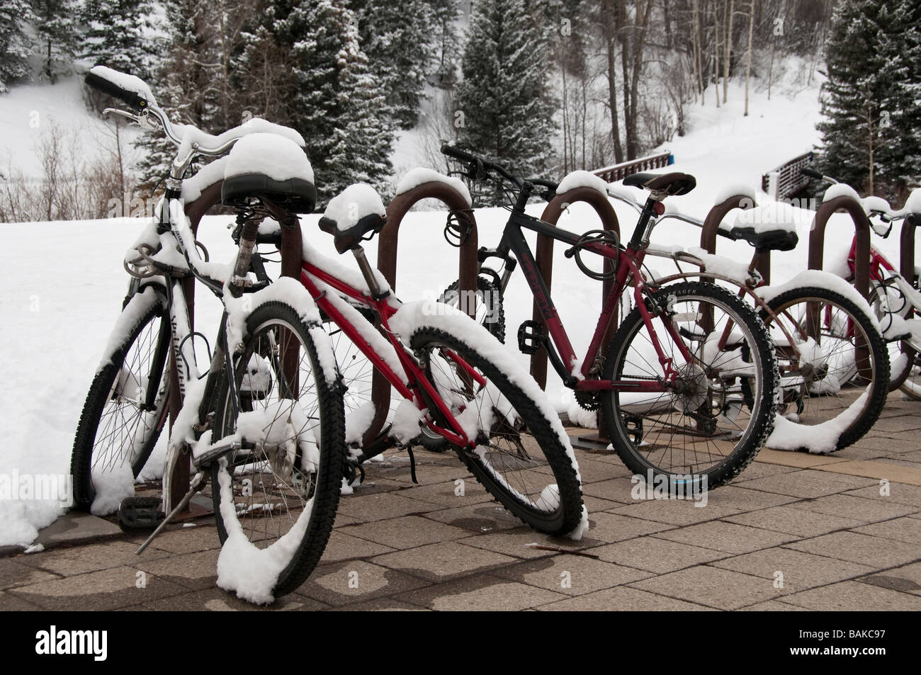 La neige a couvert les vélos près de téléphérique, Telluride, Colorado. Banque D'Images