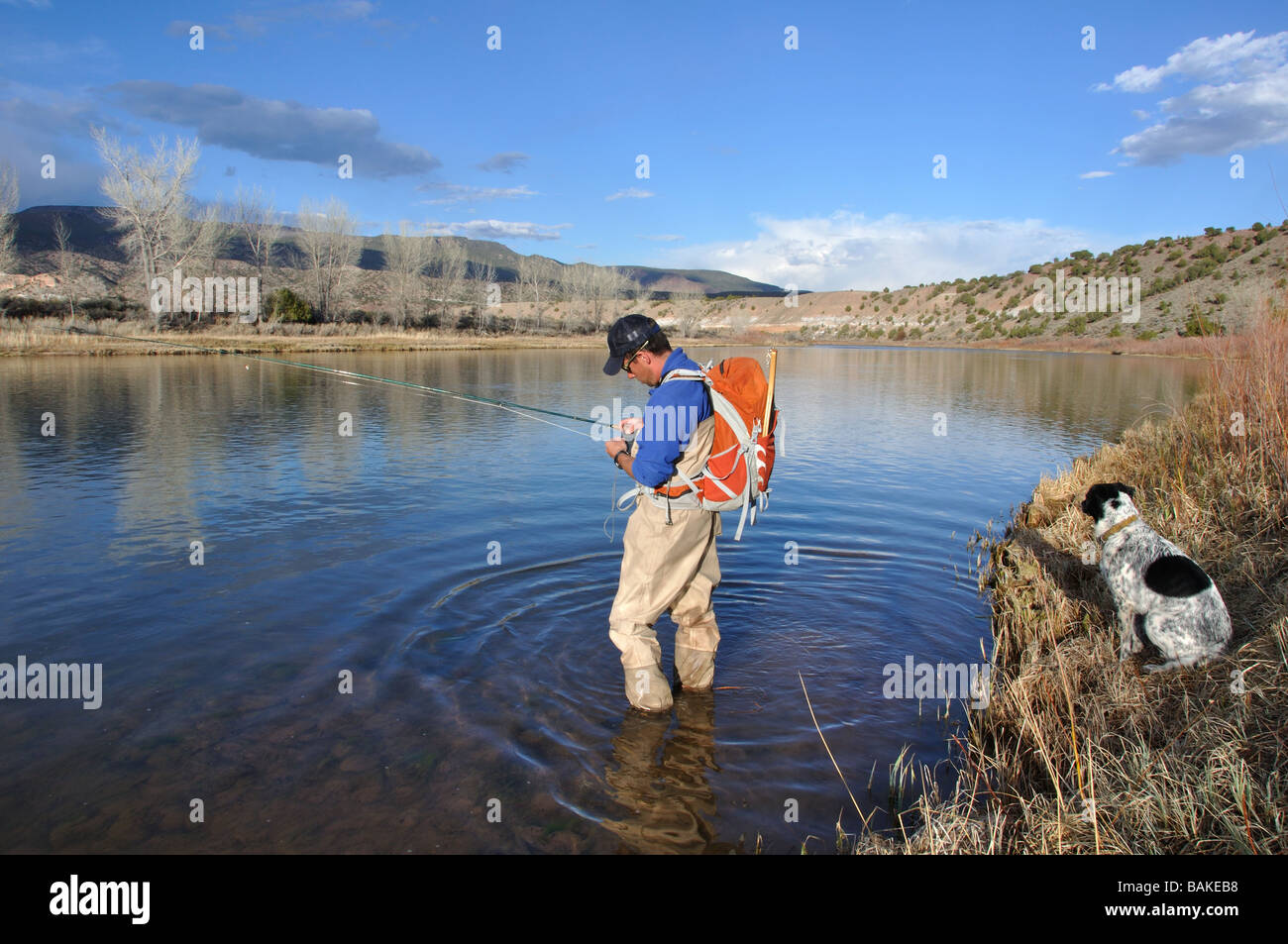 Un pêcheur de mouche sur la Green River en Utah Banque D'Images