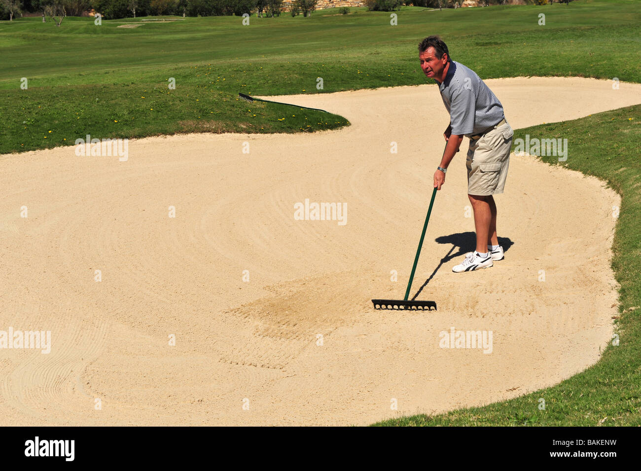 Le râtelage golfeur la fosse de sable bunker après qu'il a joué son coup. Banque D'Images