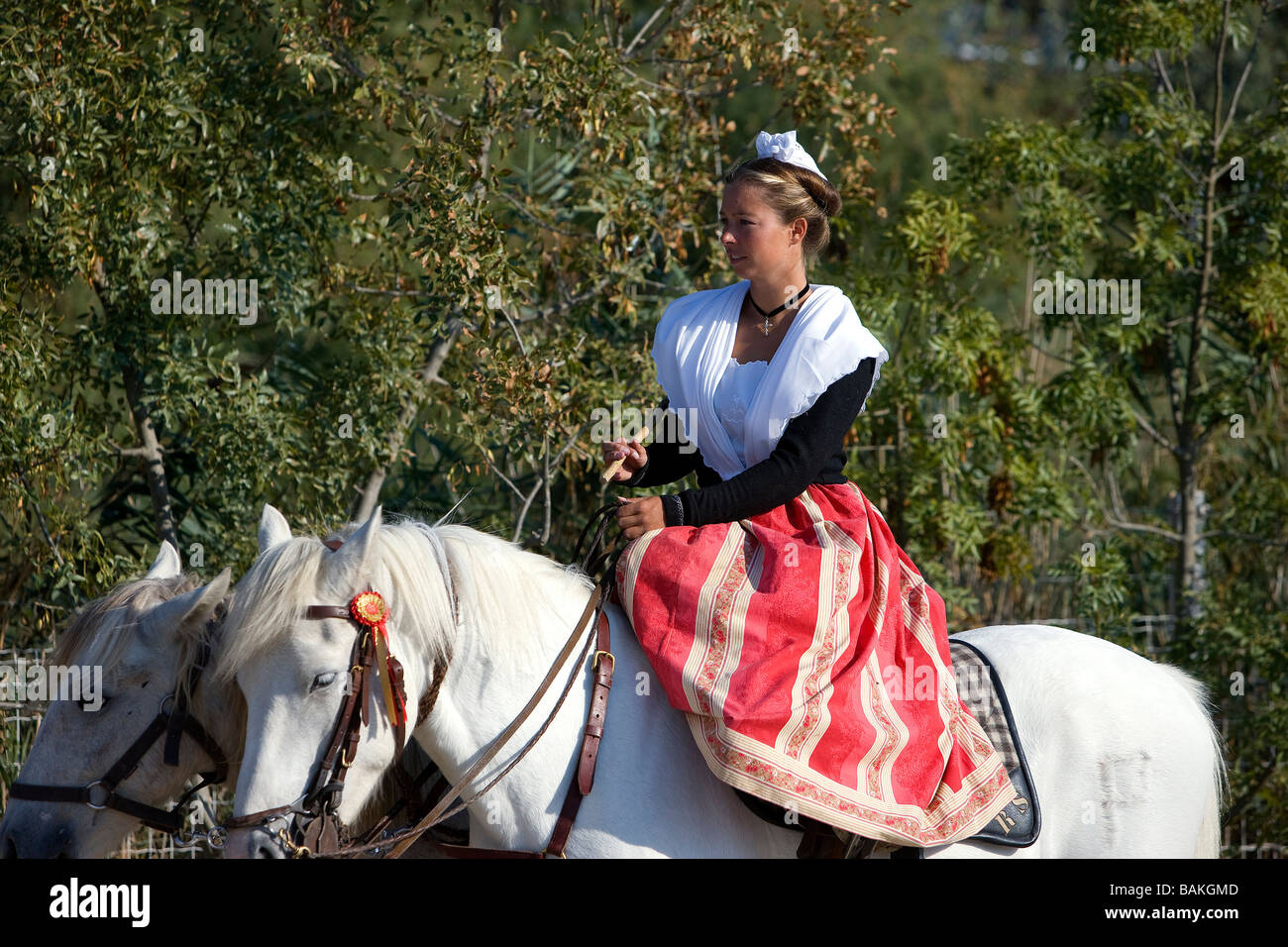 France, Bouches du Rhône, Camargue, Mejanes, représentation folklorique au Paul Ricard Estate, Bull Race, les femmes Sein Banque D'Images