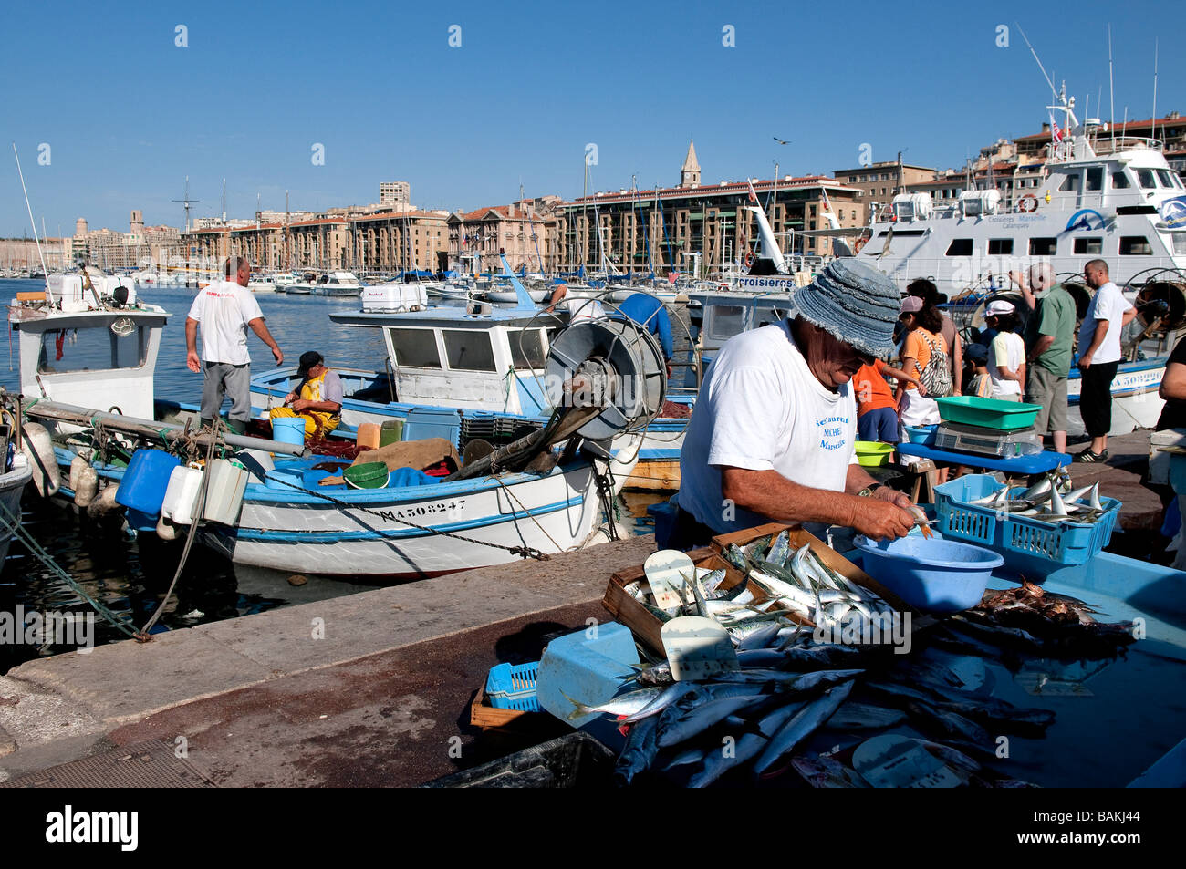 France, Bouches du Rhône, Marseille, le Vieux Port, retour de la pêche Banque D'Images