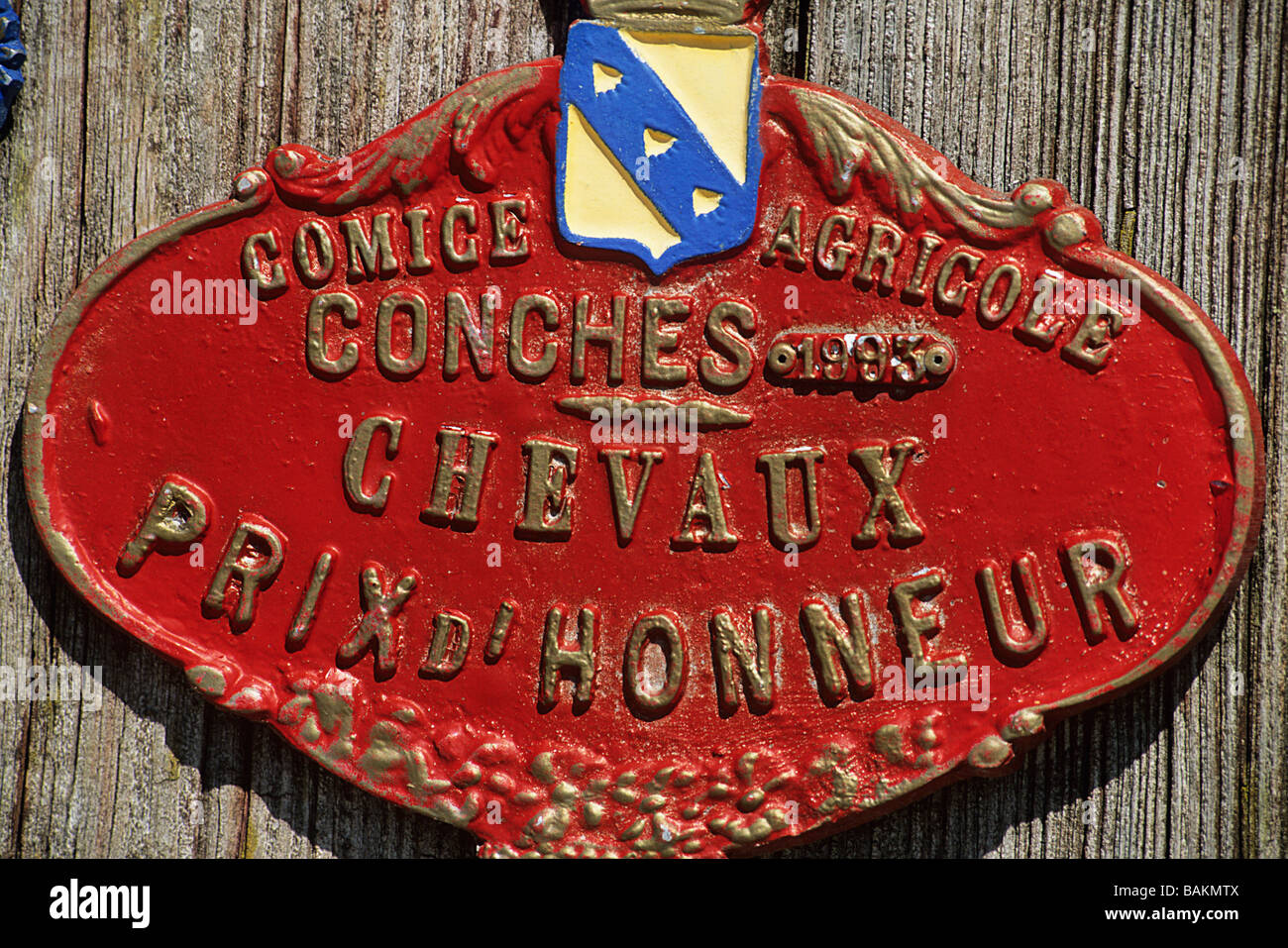 La France, l'Orne, le Perche, l'élevage de chevaux percherons par M. Lebeque Banque D'Images