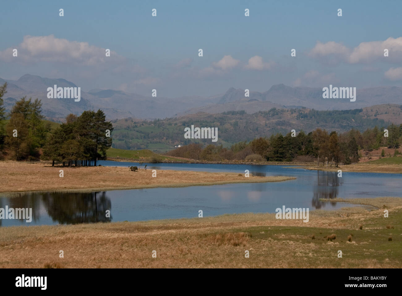 Een sage Tarn sur Loweswater sommets avec le Langdale Pikes dans la distance, Lake District, Cumbria Banque D'Images