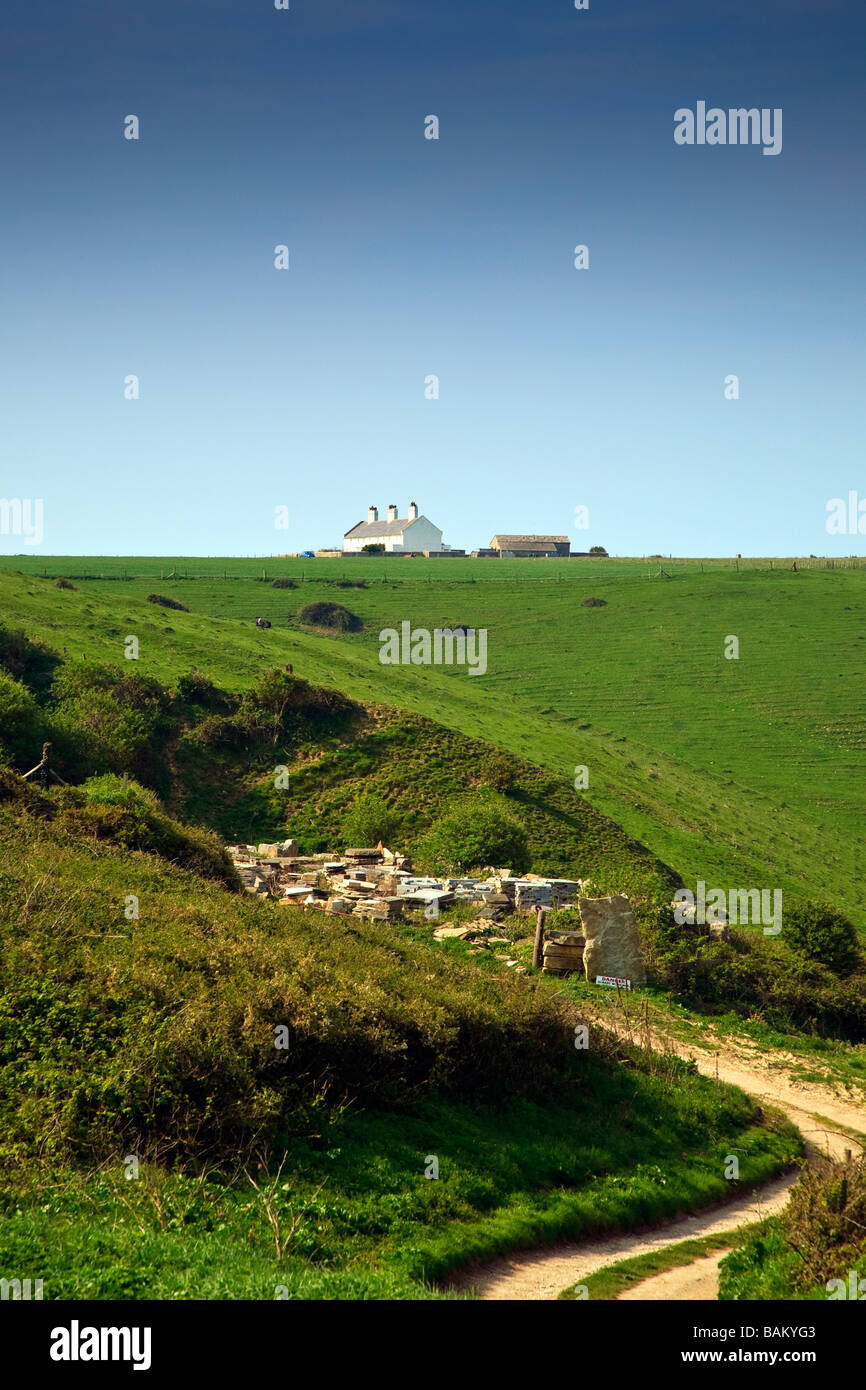 Carrière de pierre de Portland, St Aldhelm's Head à l'île de Purbeck Dorset UK 2009 Banque D'Images