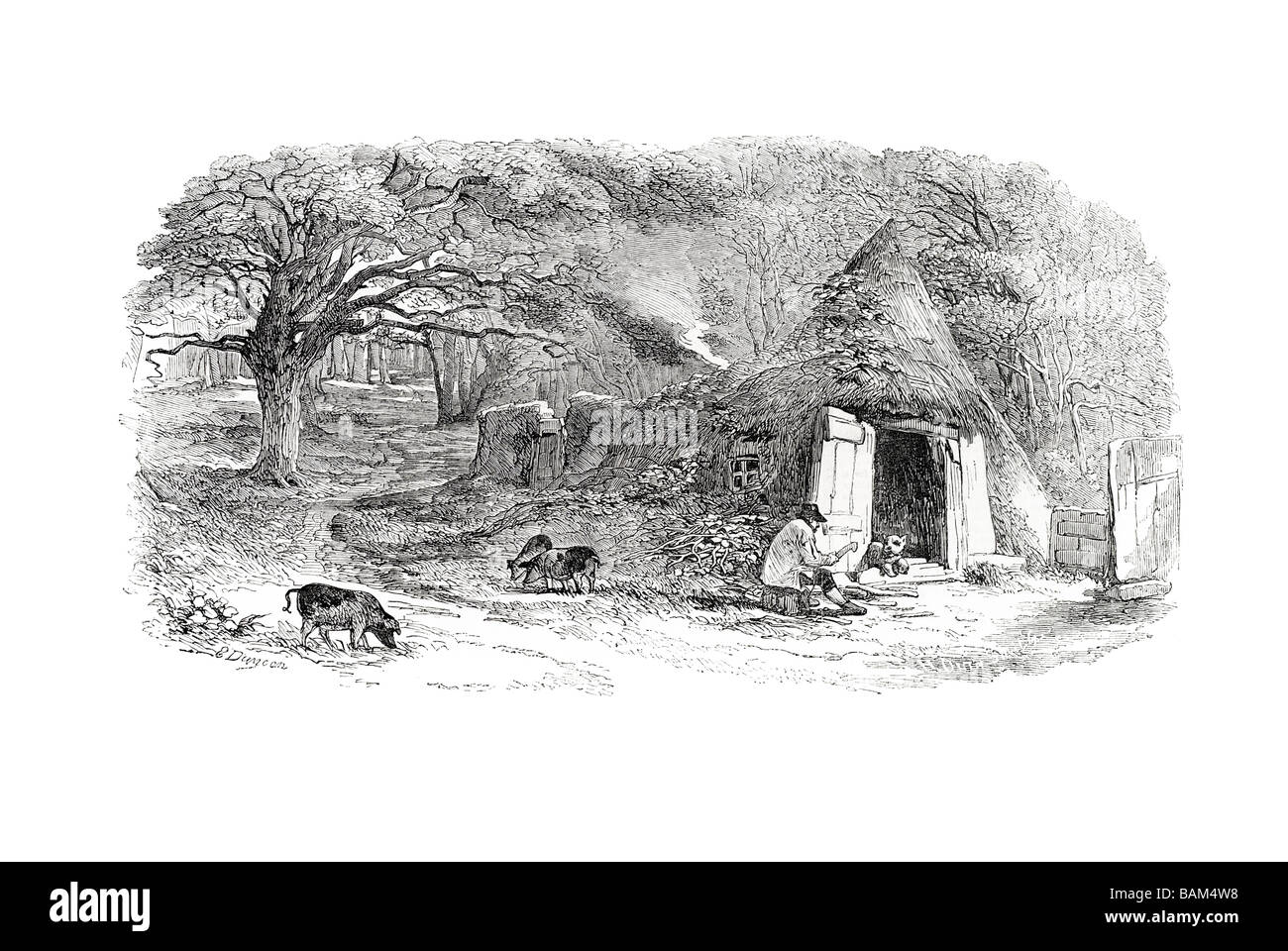 Hainault Forest Country Park hut au milieu de la forêt des bois 1851 Essex Angleterre Redbridge Banque D'Images