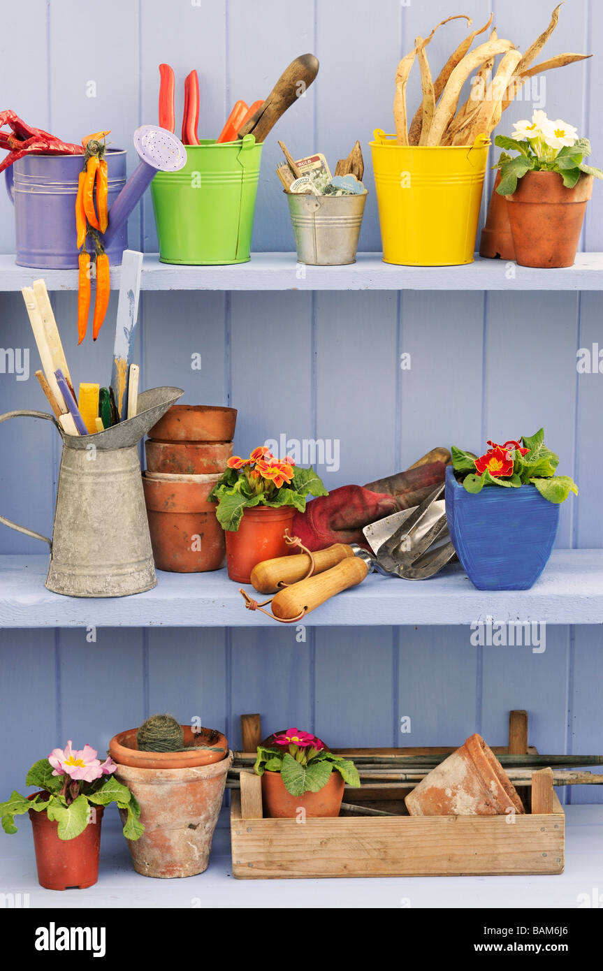 Scène de rempotage de printemps avec des étagères contenant des primevères jardin coloré de seaux et de bribes de jardinage Banque D'Images