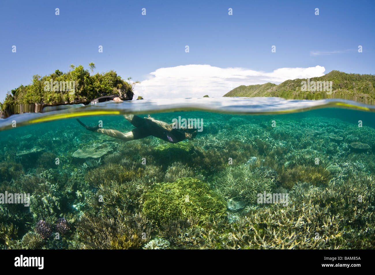 Plus de coraux apnéiste Raja Ampat en Papouasie occidentale en Indonésie Banque D'Images
