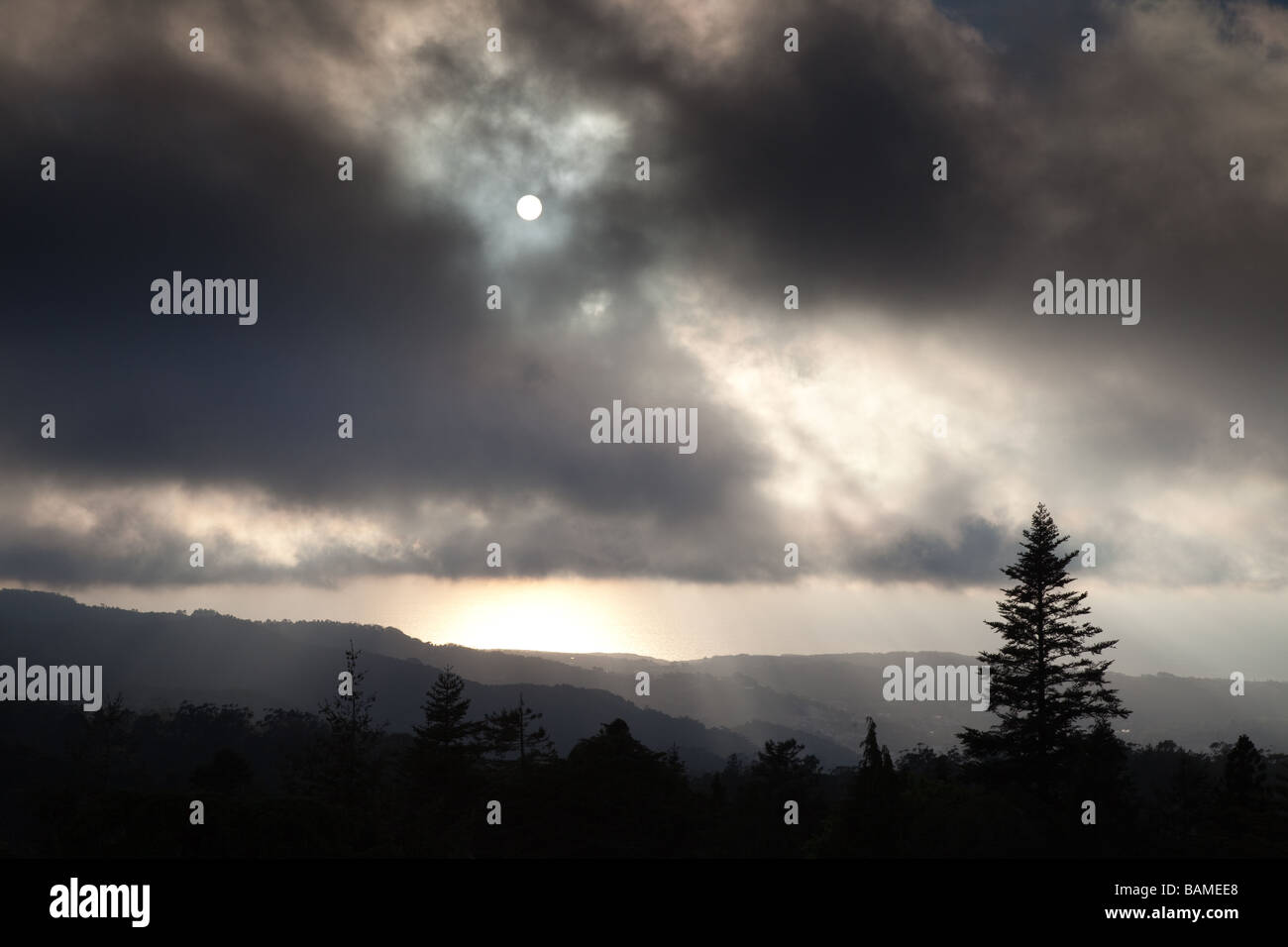 Sintra Forest high View avec des nuages et de pins Banque D'Images