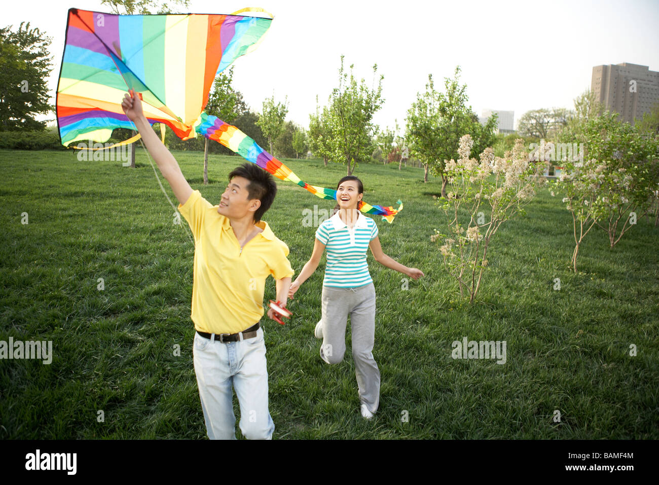 Jeune couple Flying Kite In Park Banque D'Images