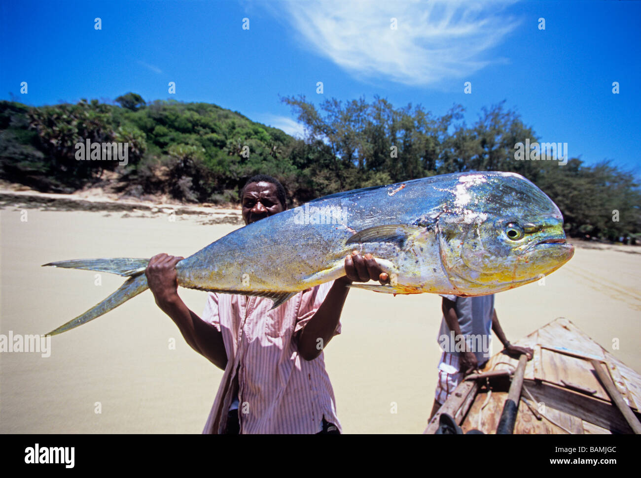 Attente pêcheur Coryphène Coryphaena hippurus Dorado pris avec canne et moulinet Mozambique Tofo Banque D'Images