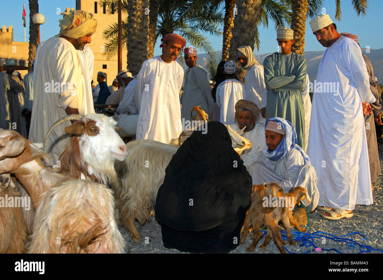 Des gens habillés en costume traditionnel omanais le Dishdasha négociation collective sur le marché de chèvre, Nizwa, Sultanat d'Oman Banque D'Images