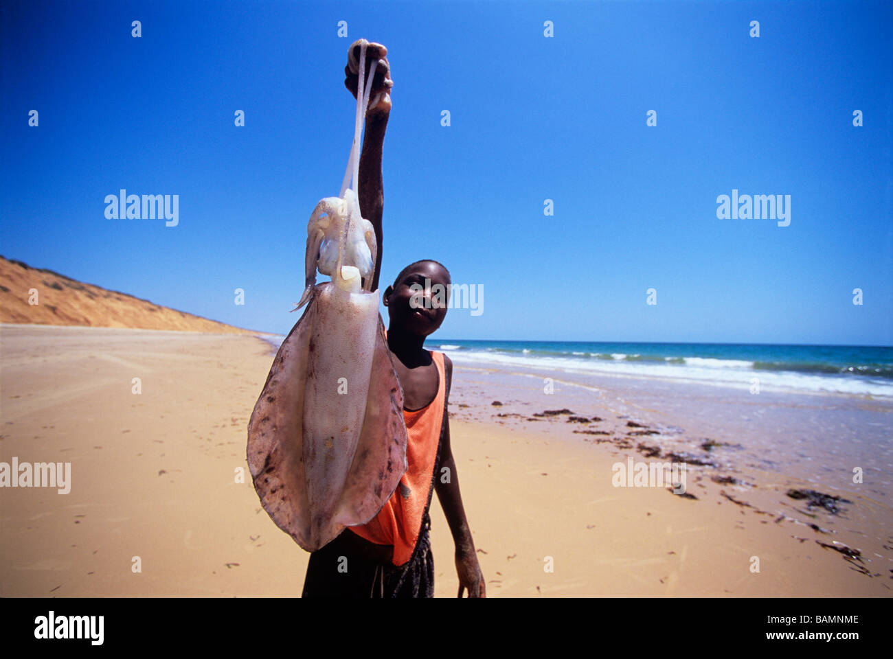 Pêcheur détient un grand calmar Inhassoro Mozambique Banque D'Images