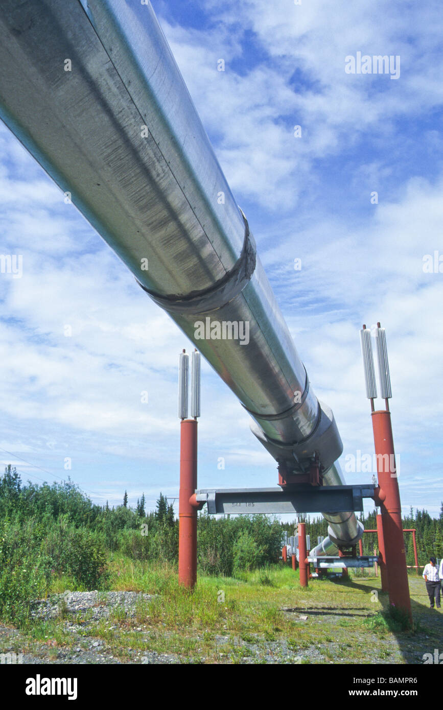 Alaska pipeline d'huile combustible énergie transports effectuer le transport de pétrole brut de la forêt Banque D'Images