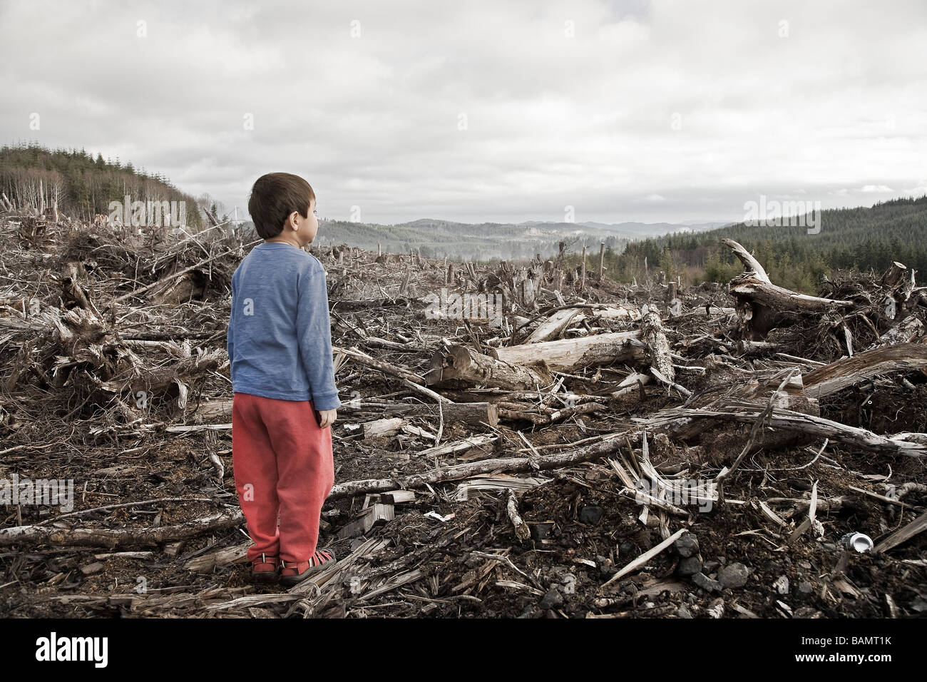 Jeune garçon regardant la forêt coupée claire Banque D'Images