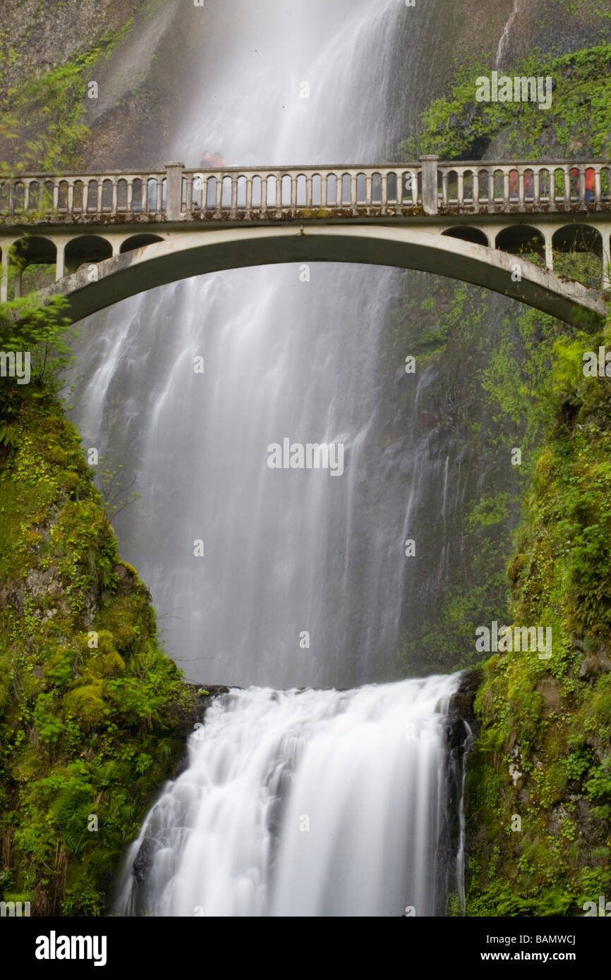 Chutes de Multnomah et le pont de l'Oregon Banque D'Images