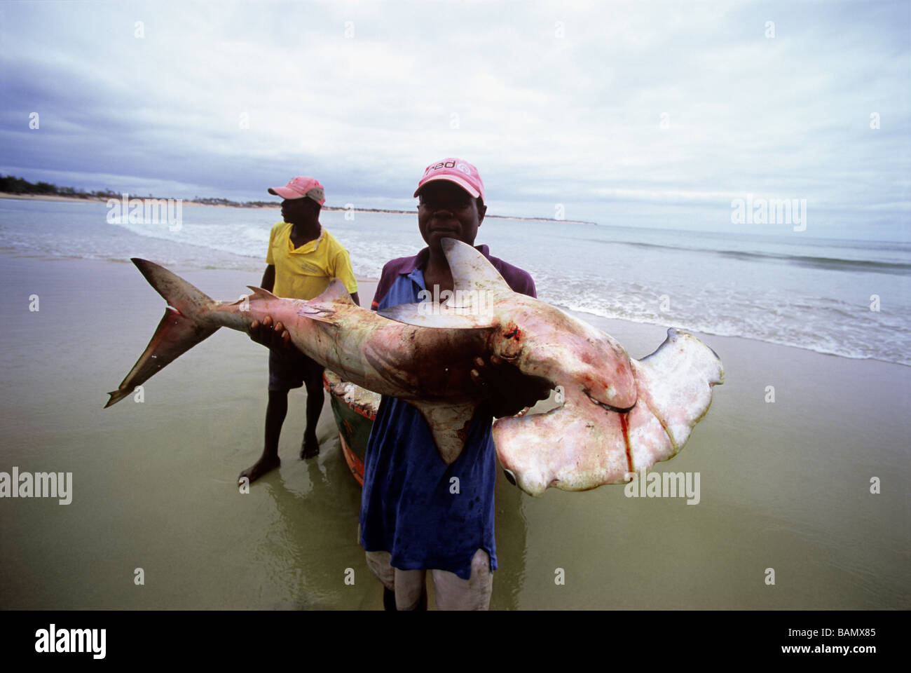Pêcheur avec requin capturé à la ligne à main Inhassoro Mozambique Banque D'Images
