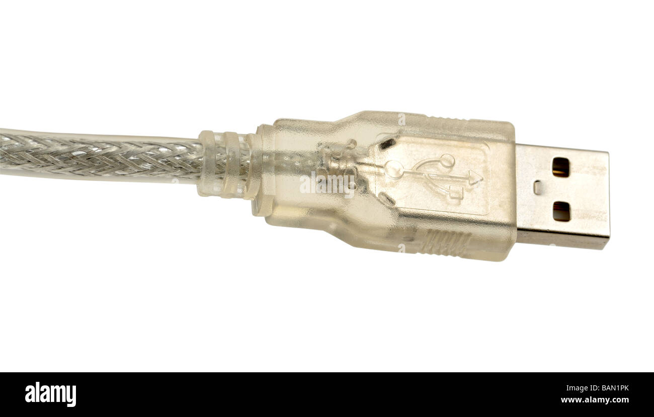 Câble USB isolé sur fond blanc Banque D'Images