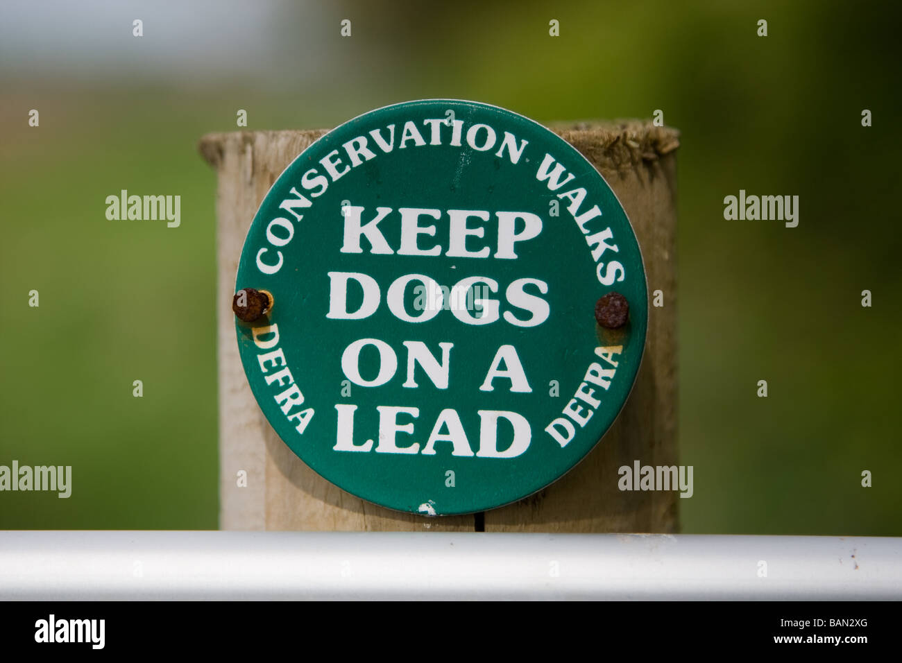'Gardez les chiens en laisse' inscrivez-vous à la campagne Banque D'Images