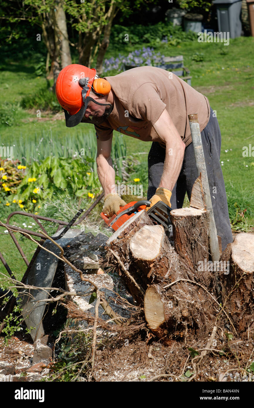 L'homme à l'aide de scie à découper souche d'arbre. Il porte un casque  protecteur mais pas plein de santé et de sécurité vêtements de protection  Photo Stock - Alamy