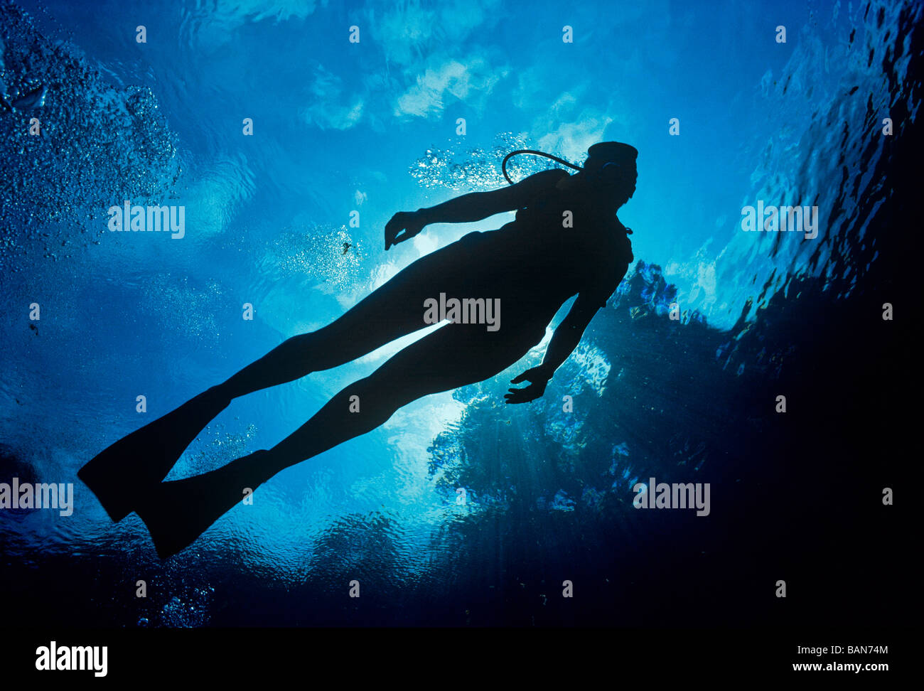 Plongeurs dans Crystal Clear Lake Banque D'Images