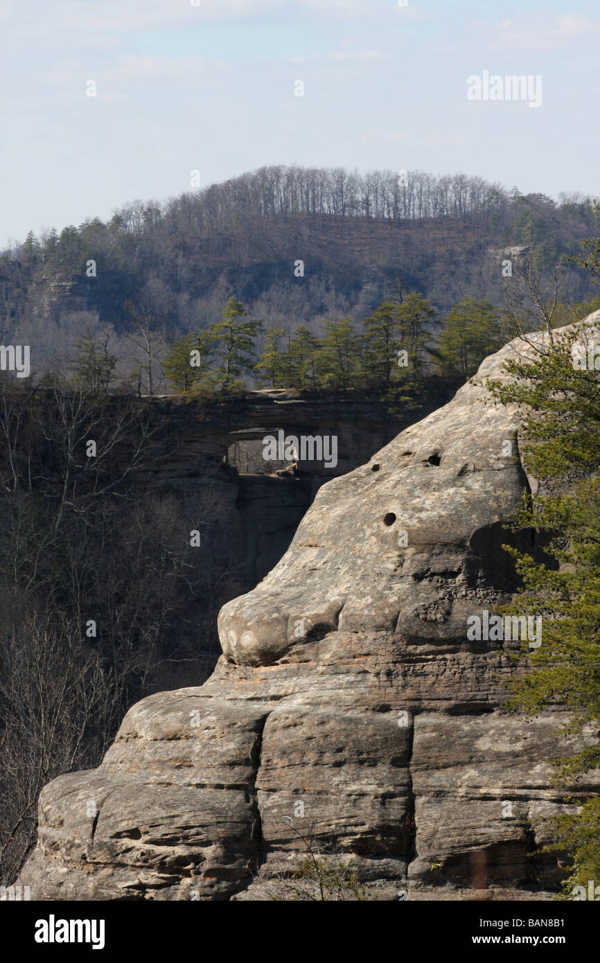 Red River gorge arc double Daniel Boone national forest florida Banque D'Images