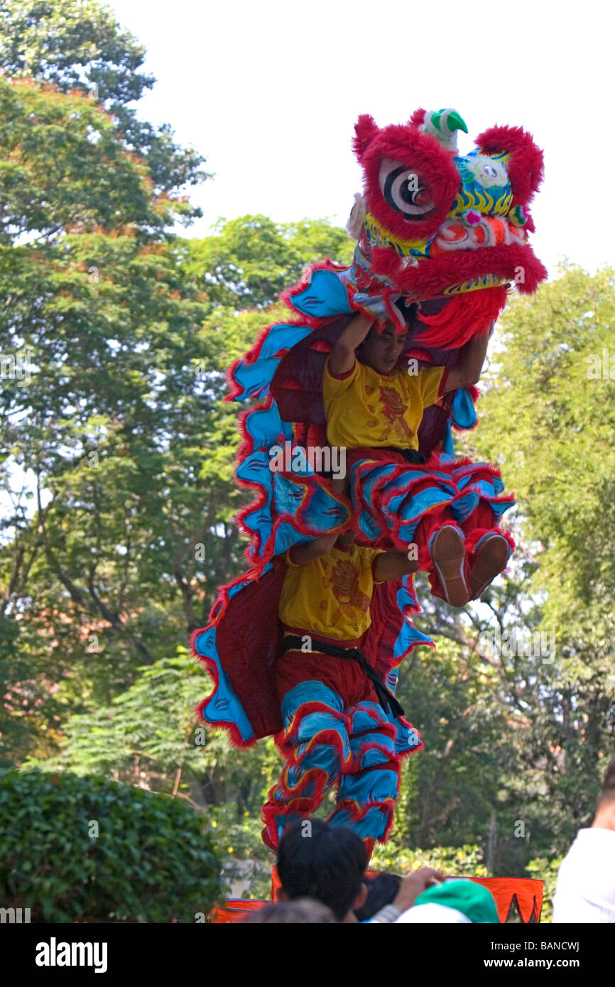 Danse du dragon vietnamien pendant les célébrations du Nouvel An lunaire du Têt à Ho Chi Minh City Vietnam Banque D'Images