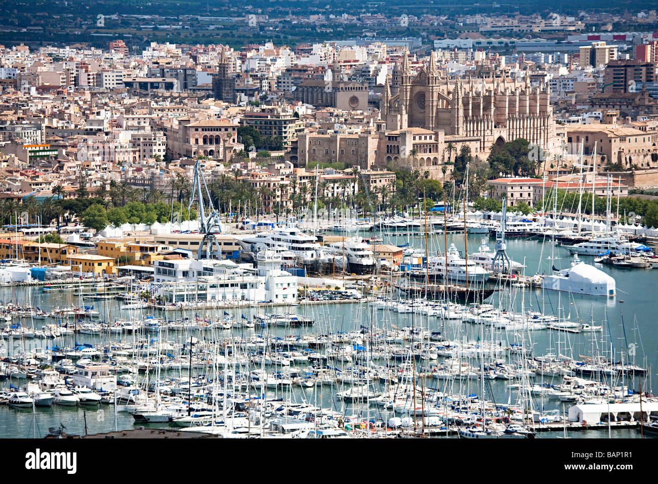Port de plaisance et de la cathédrale de la ville de Palma Majorque Banque D'Images