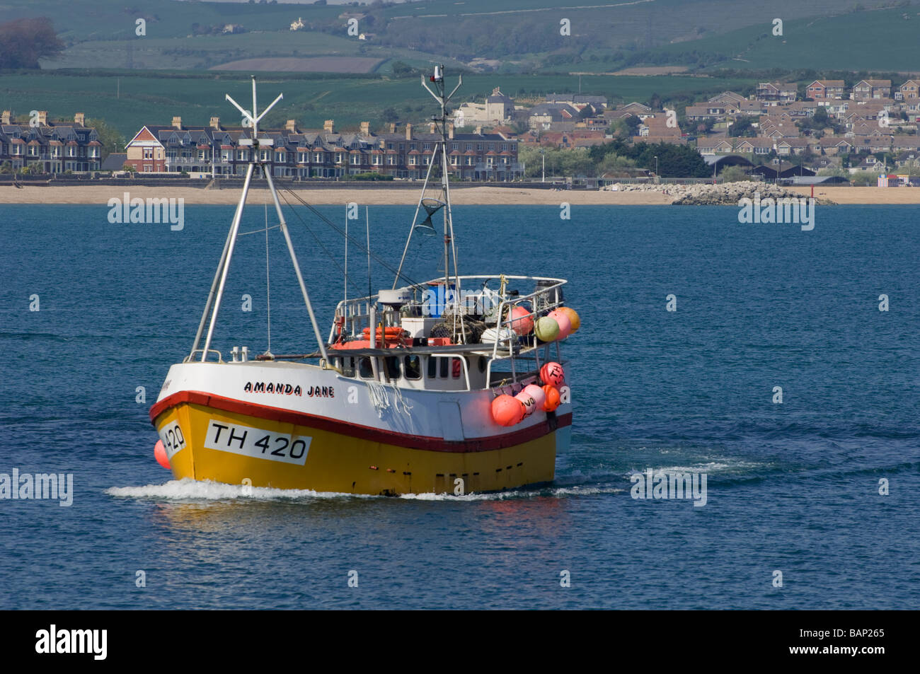 Chalutier de pêche E420, le "Amanda Jane", en mer au large de la côte de Weymouth, dans le Dorset, Angleterre. Banque D'Images