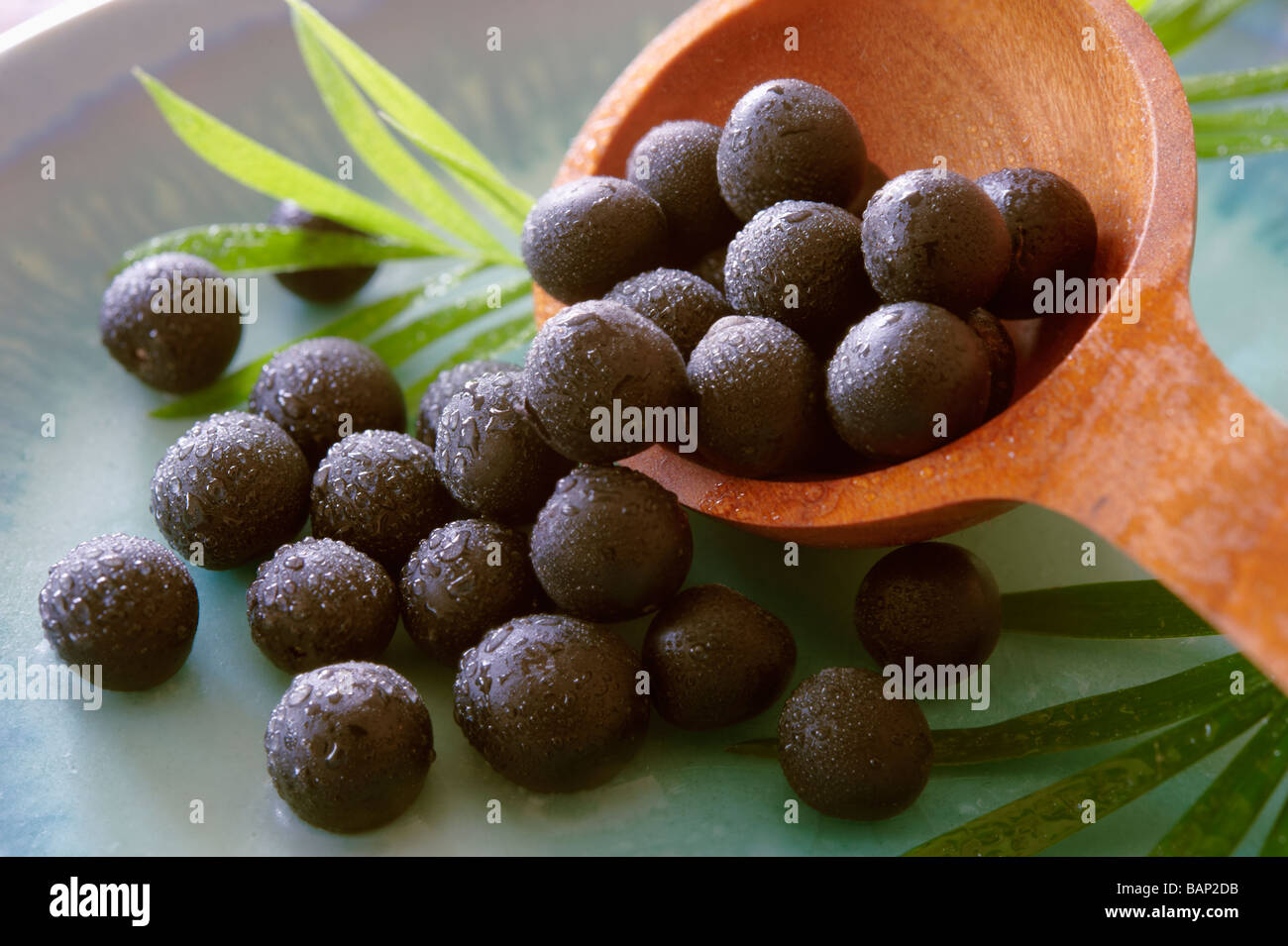 Les baies d'Acai fruit anti oxydantes. Banque D'Images