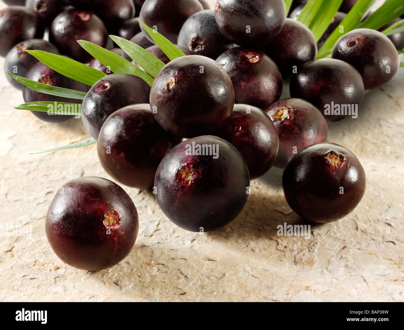 Les baies d'Acai fruit anti oxydantes. Banque D'Images