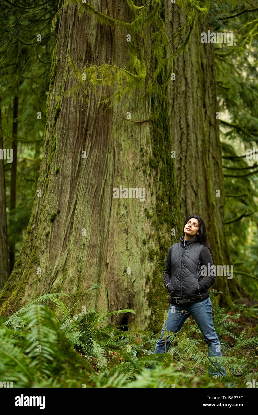 Cathedral Grove, MacMillan Parc provincial, l'île de Vancouver, Colombie-Britannique, Canada ; femme admire un vieux cèdre Banque D'Images