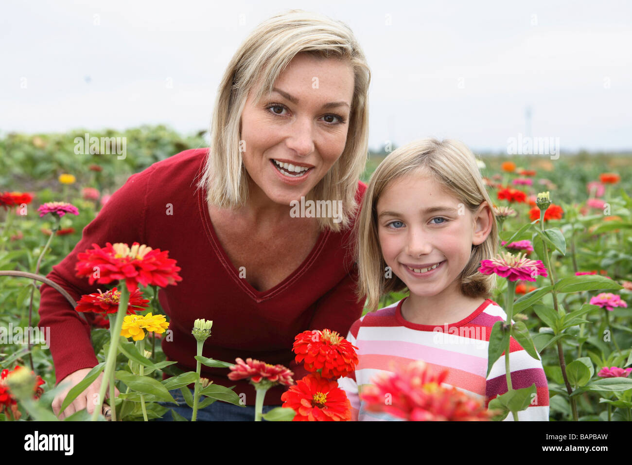 Mère et fille dans un champ de fleurs biologiques, Ladner, British Columbia, Canada Banque D'Images