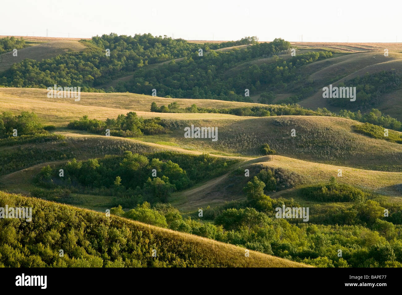 La Vallée Qu'Appelle, Saskatchewan Banque D'Images