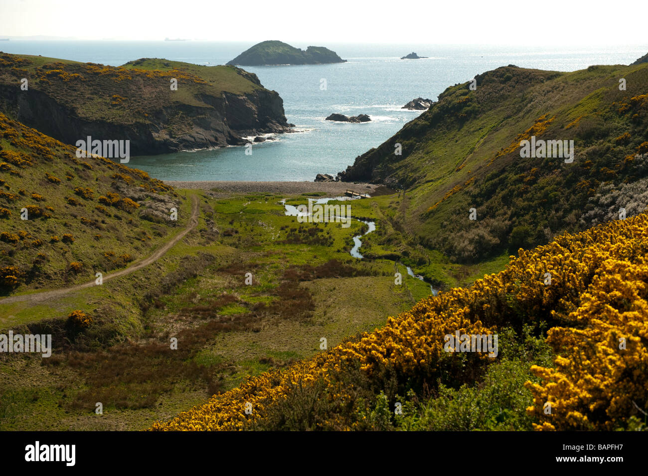 Gwadn Cove Point près de Penrhyn et Solva sur le Parc National de la côte du Pembrokeshire Wales UK Banque D'Images