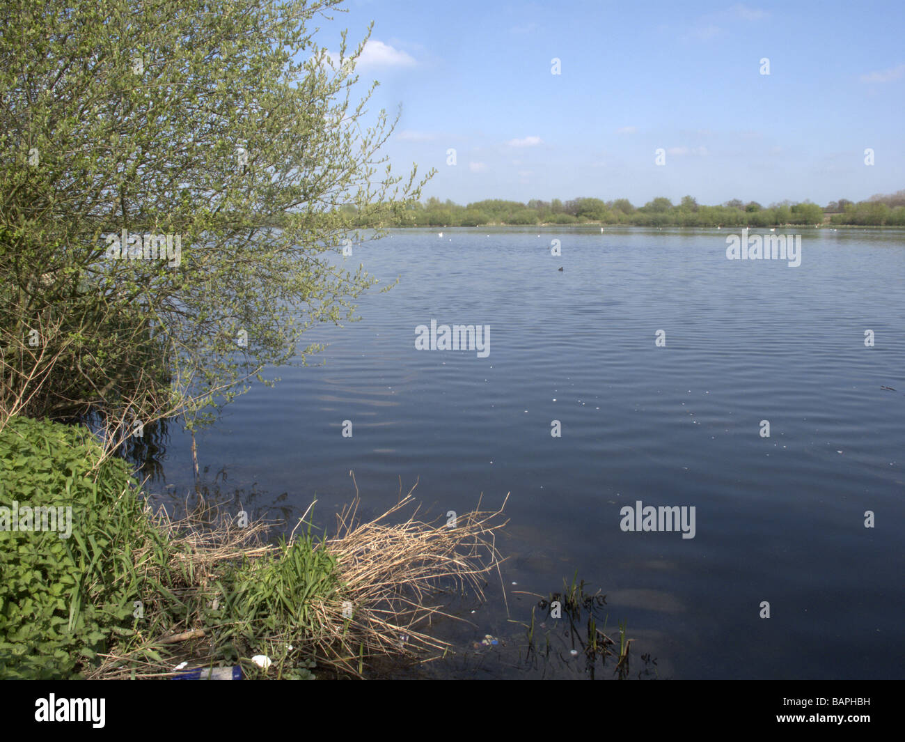 Piscines Coton Midlands Banque D'Images