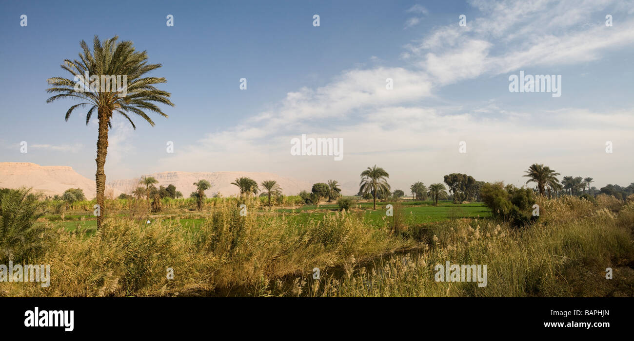 Panorama des collines à Nag Hammadi, vallée du Nil, l'Egypte Banque D'Images