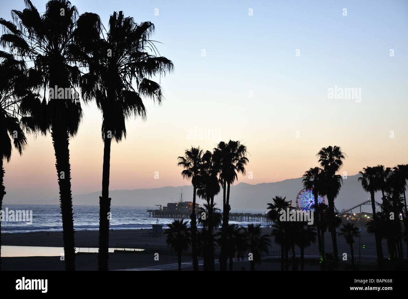 Palmiers sur la plage de Santa Monica, Californie Banque D'Images