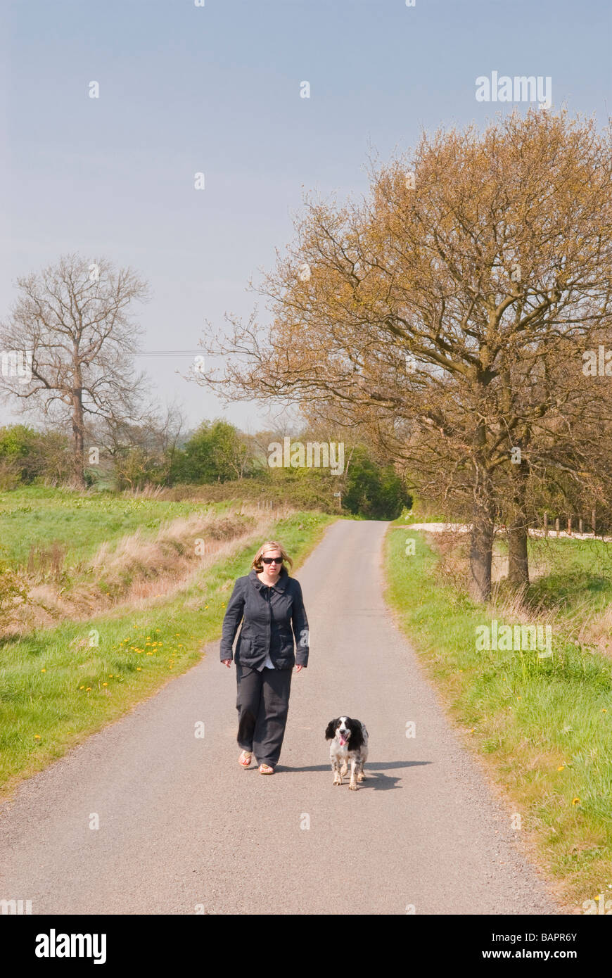 Une femme promener son chien seul le long d'un chemin de campagne du Suffolk, Royaume-Uni Banque D'Images