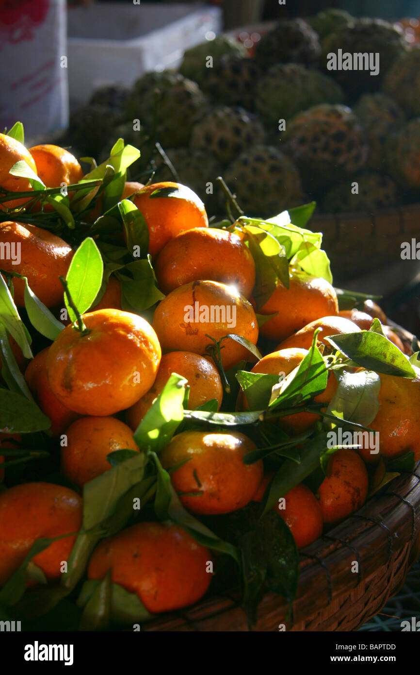 Clémentines fraîches en vente sur le marché de l'alimentation à Hoi An, Vietnam Banque D'Images