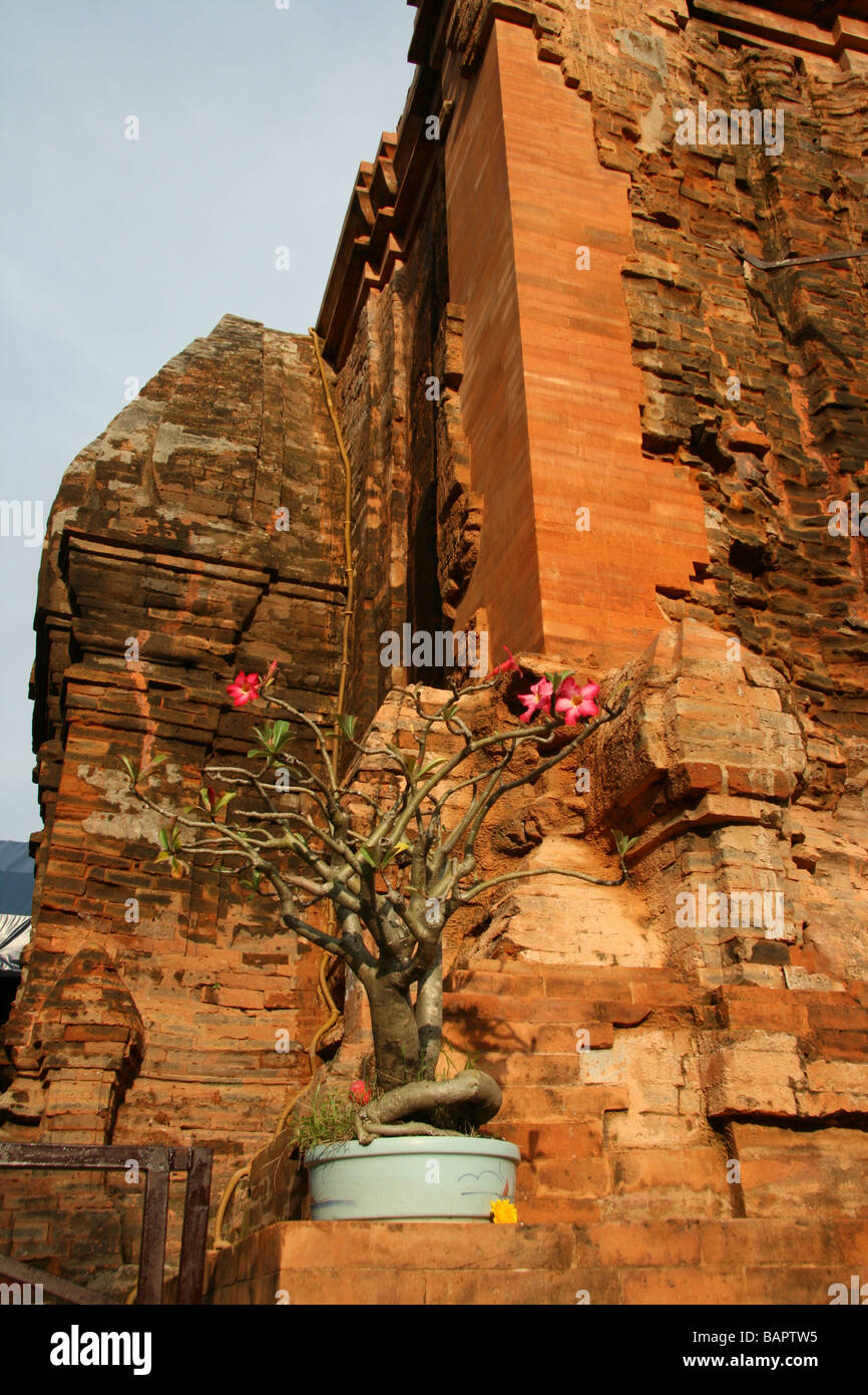 Le Cham Tours, Nha Trang au Vietnam Banque D'Images