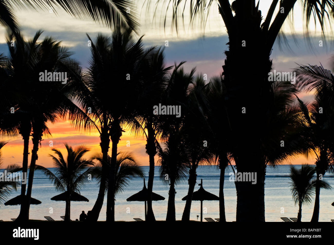 De soleil colorés au beach à l'île Maurice des palmiers en premier plan et de l'océan en arrière-plan Banque D'Images
