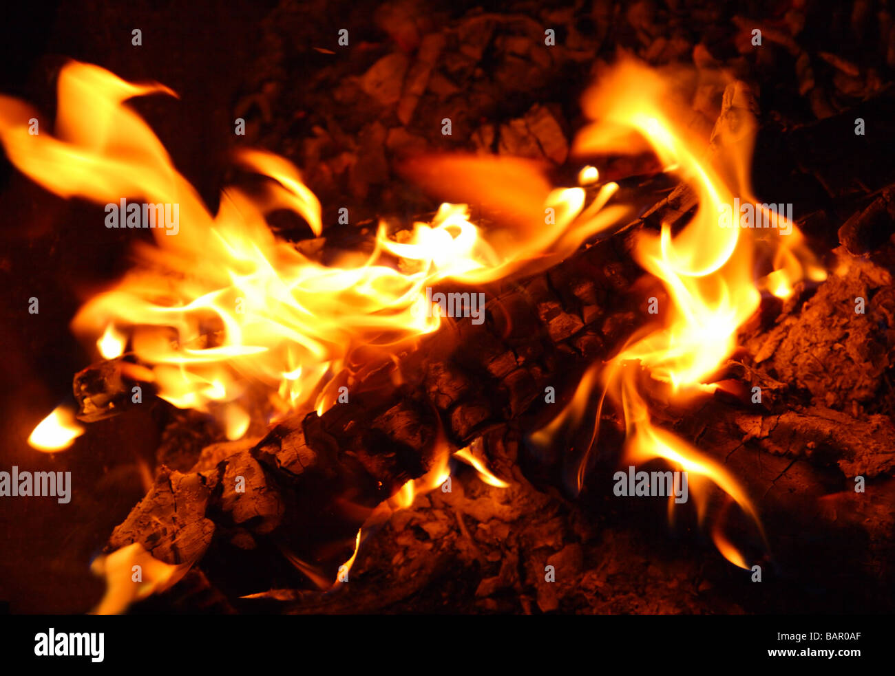flamme de feu de joie Banque D'Images